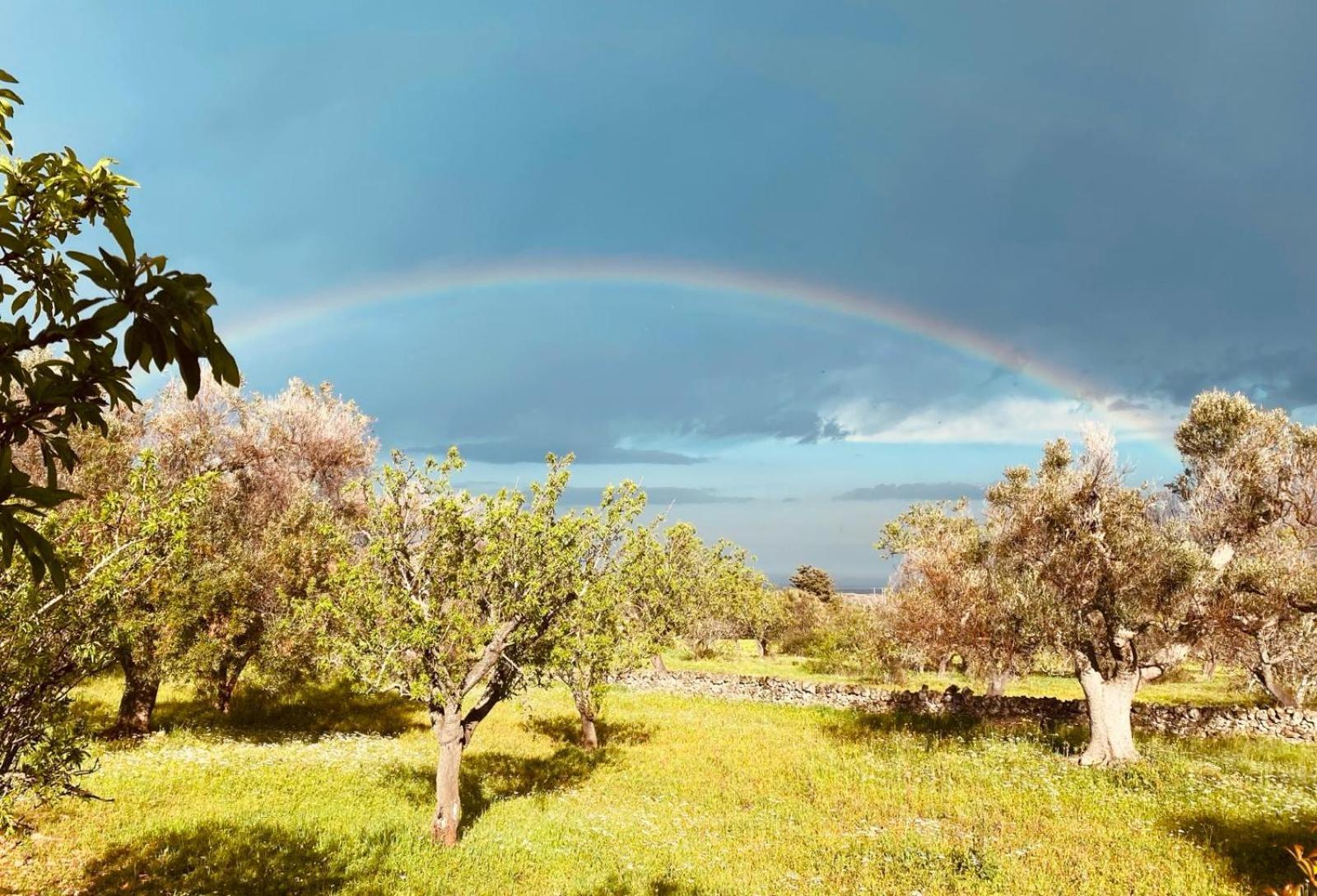 La Perla Di Torre Guaceto Villa Serranova Bagian luar foto